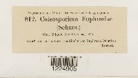 thumbnail image of current specimen