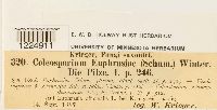 thumbnail image of current specimen