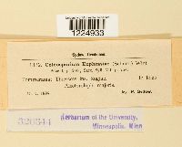 Image Associated With the Occurence