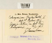 Image Associated With the Occurrence