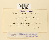 Image Associated With the Occurrence