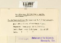 Thumbnail image of current specimen