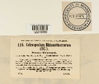 thumbnail image of current specimen