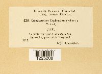 Image Associated With the Occurrence