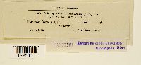 thumbnail image of current specimen