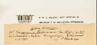 thumbnail image of current specimen