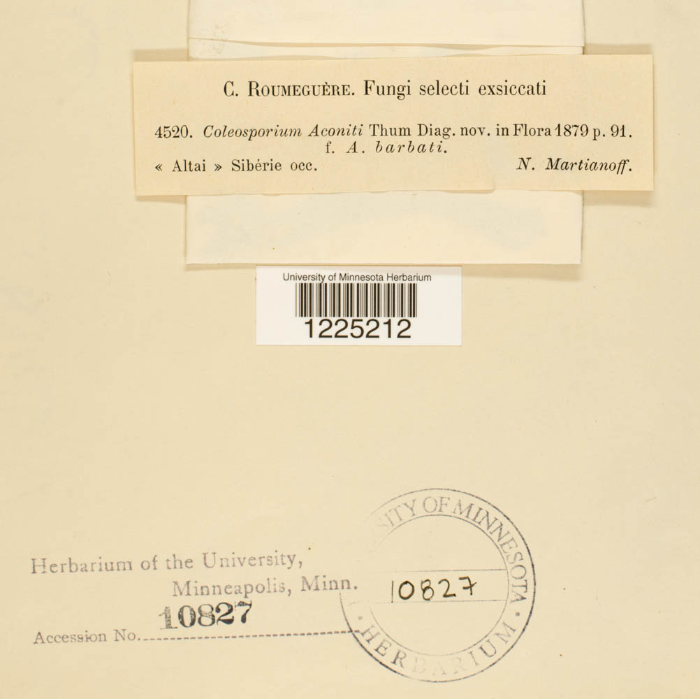 Coleosporium aconiti image