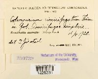 Image Associated With the Occurrence