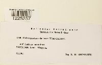 Image Associated With the Occurrence