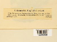 Image Associated With the Occurrence