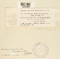 Cronartium comptoniae image