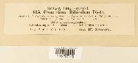 thumbnail image of current specimen