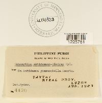 Media resource of Cronartium antidesmae-dioicae