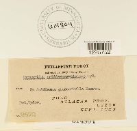 Image Associated With the Occurrence