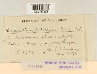 Image Associated With the Occurrence