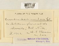 Image Associated With the Occurrence