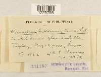 Image Associated With the Occurrence