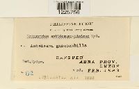 Image Associated With the Occurrence