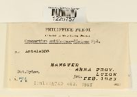 Image Associated With the Occurrence