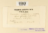 Image Associated With the Occurrence