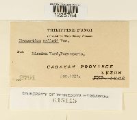 Media resource of Cronartium malloti