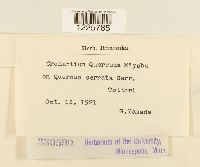 thumbnail image of current specimen