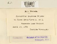 thumbnail image of current specimen
