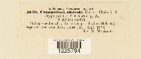 thumbnail image of current specimen