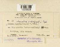 Image Associated With the Occurrence