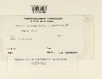 Image Associated With the Occurrence