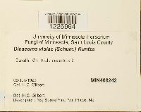 Image Associated With the Occurrence