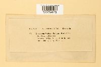 Image Associated With the Occurrence