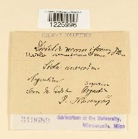 Image Associated With the Occurrence