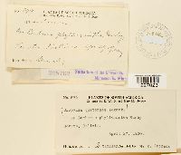 Image Associated With the Occurrence