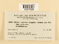 Image Associated With the Occurrence