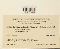 Image Associated With the Occurrence