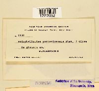 Image Associated With the Occurrence