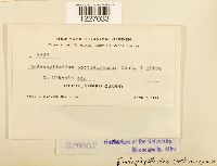 Image Associated With the Occurrence