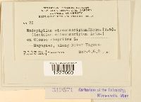 Image Associated With the Occurrence