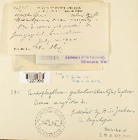 Image Associated With the Occurrence