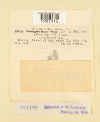 thumbnail image of current specimen