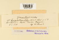 thumbnail image of current specimen