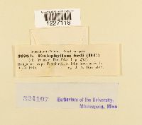 Image Associated With the Occurrence