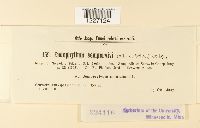 Image Associated With the Occurrence