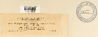 thumbnail image of current specimen