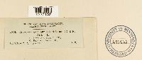 thumbnail image of current specimen