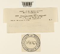 Frommeella tormentillae image