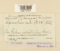 Image Associated With the Occurrence