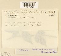 Image Associated With the Occurrence