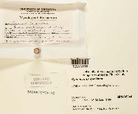 Arthuriomyces peckianus image